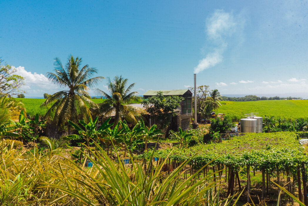 Guadeloupe and the invention of single-block rums